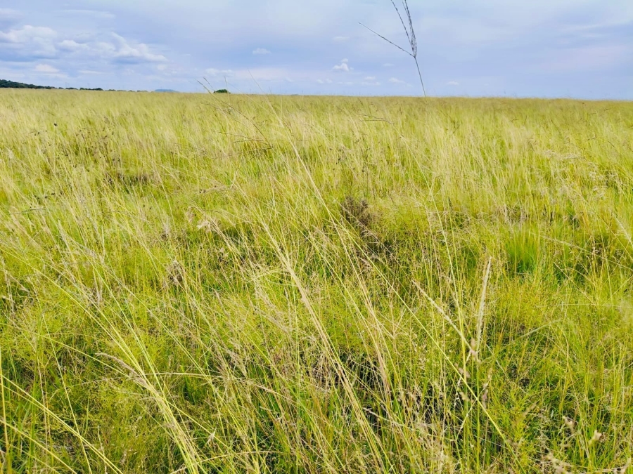 Commercial Property for Sale in Edenburg Free State